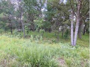 5.06 ACRES Collie Dr