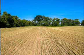 LOT 2 17.5 AC Sandy Hook Rd