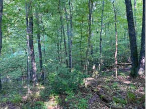 20 ACRES County Road K