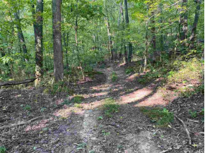 20 ACRES County Road K