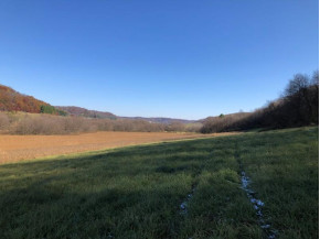 250+/- ACRES County Road A