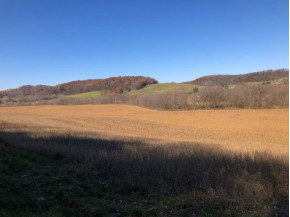 250+/- ACRES County Road A