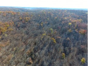 250+/- ACRES County Road A