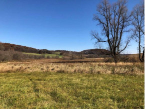 250+/- ACRES County Road A