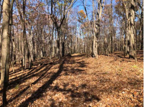 250+/- ACRES County Road A