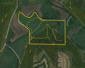 71 ACRES Oak Rd