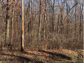 20 AC County Road D