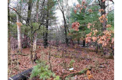 LOT 14 Country Ln, Wisconsin Dells, WI 53965