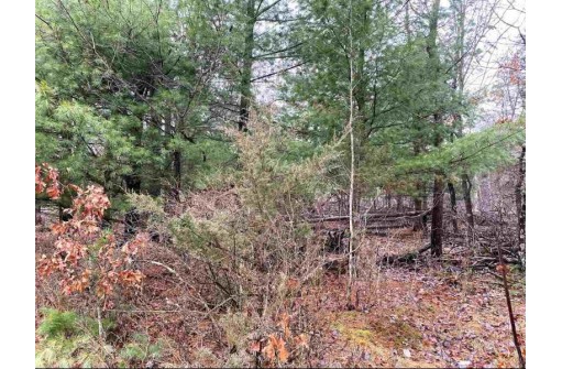 LOT 14 Country Ln, Wisconsin Dells, WI 53965