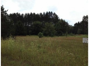 LOT 30 13th Dr Wisconsin Dells, WI 53965