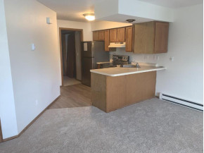 530 E Hiawatha Dr 413