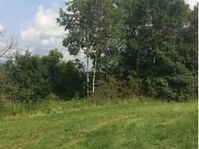 LOT 24 Hollow Ln