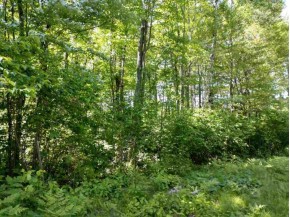 1.64 AC Hancock Lake Rd