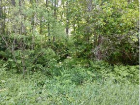 1.64 AC Hancock Lake Rd