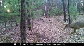 65 AC W Limits Rd