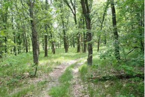 65 AC W Limits Rd