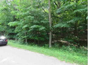 LOT 165 Black Forest Dr