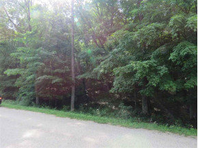 LOT 165 Black Forest Dr