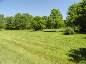 3.376 ACRES Freedom Rd