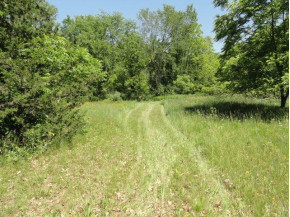 3.376 ACRES Freedom Rd