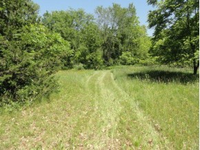 1.23 ACRES Freedom Ct