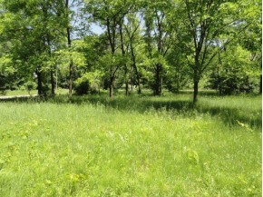 1.23 ACRES Freedom Ct