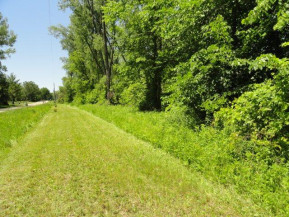 1.23 ACRES Freedom Ct