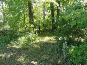 1.23 ACRES Freedom Ct