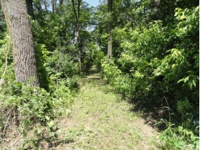 1.23 ACRES Freedom Ct