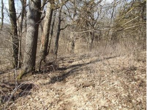 5+/- ACRES Glassmaker Rd