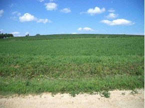 7.6 AC County Road F