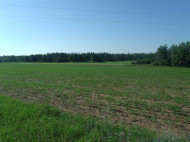 15.9 AC Duck Creek Rd