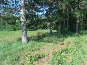 15.9 AC Duck Creek Rd