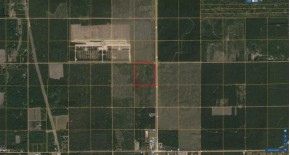 40 AC LOT 6 Akron Dr