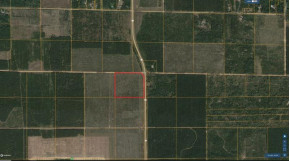 40 AC LOT 8 County Line Rd