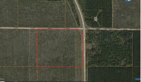 40 AC LOT 8 County Line Rd