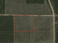 40 AC LOT 7 County Line Rd