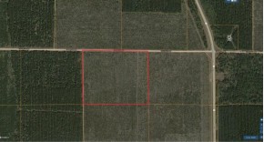 40 AC LOT 7 County Line Rd