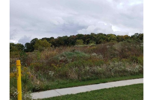 LOT 23 Rolling Meadows North, Baraboo, WI 53913
