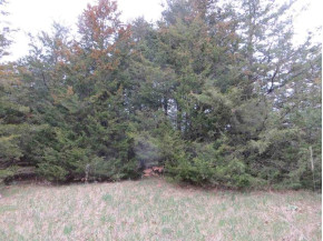 LOT 6 Cedar Cove Ln