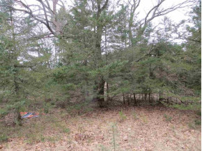 LOT 6 Cedar Cove Ln