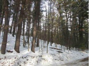 2.82 AC White Birch Dr