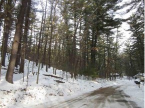 2.82 AC White Birch Dr