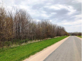 41.2 +/- ACRES Townline Road