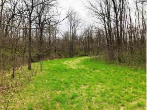 41.2 +/- ACRES Townline Road