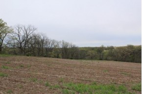 27.5 AC Oak Tree Ct