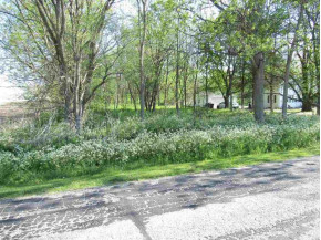 3.9 ACRES Wilcox Rd