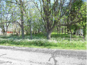 3.9 ACRES Wilcox Rd