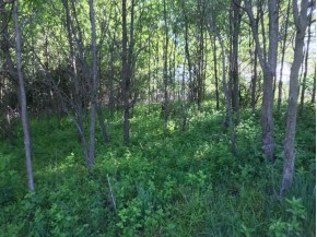 LOT 2150 Ohnstad Rd