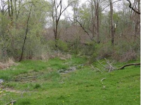 149.44+/- AC Dutch Hollow Rd